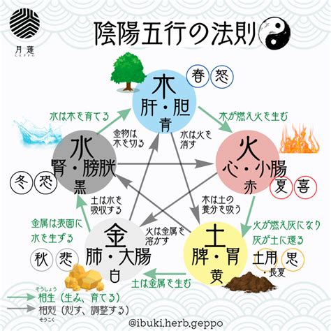 陰陽五行關係|五行